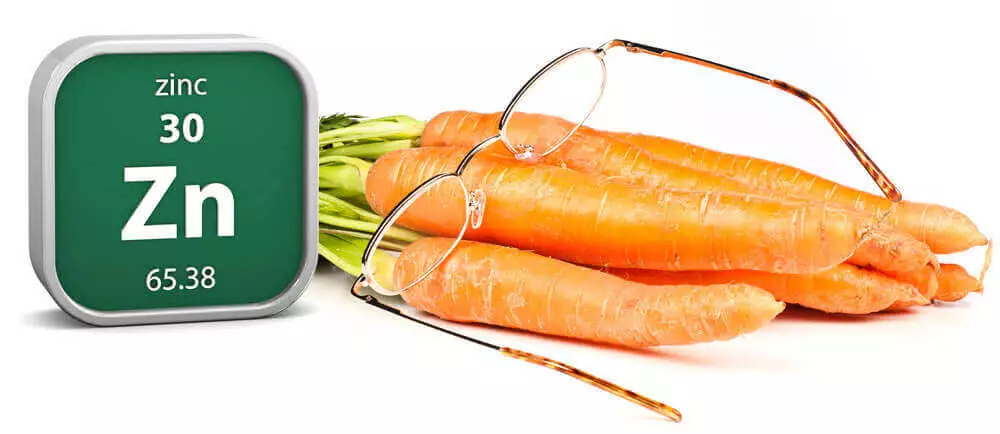 Vision 20 Supplement